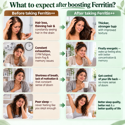 Caelis Ferritin Support